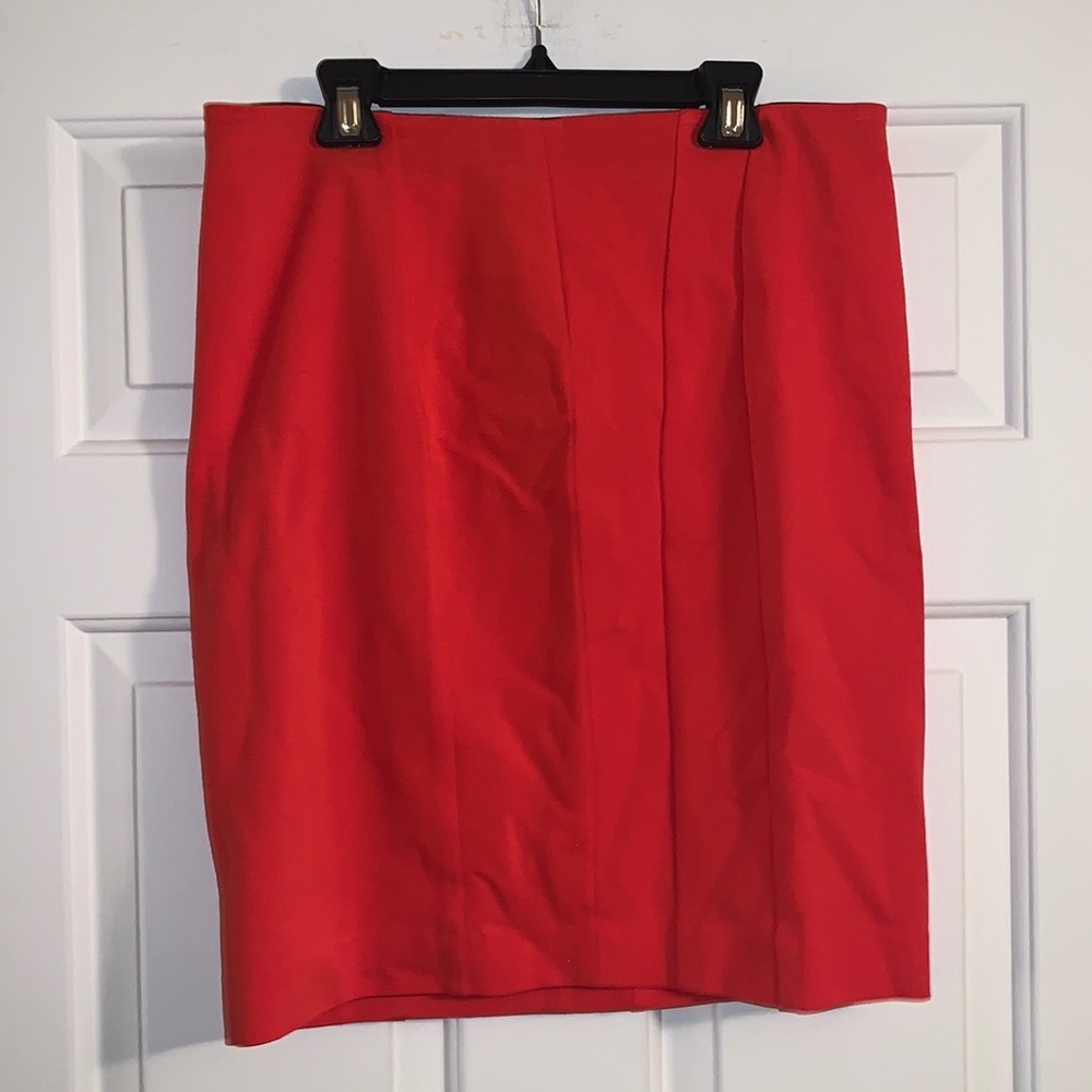 Ann Taylor skirt